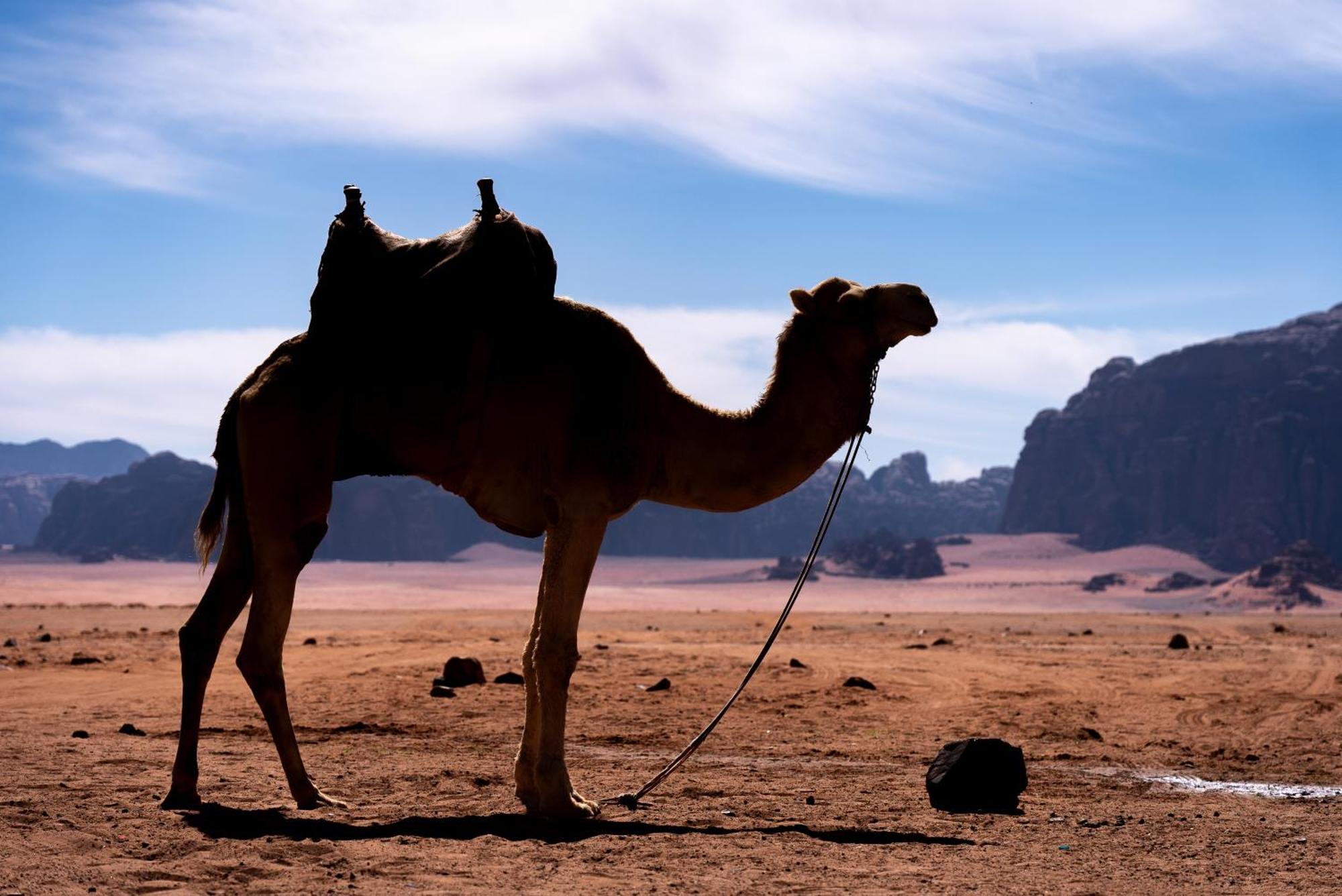 Oblivion Camp Hotel Wadi Rum Luaran gambar